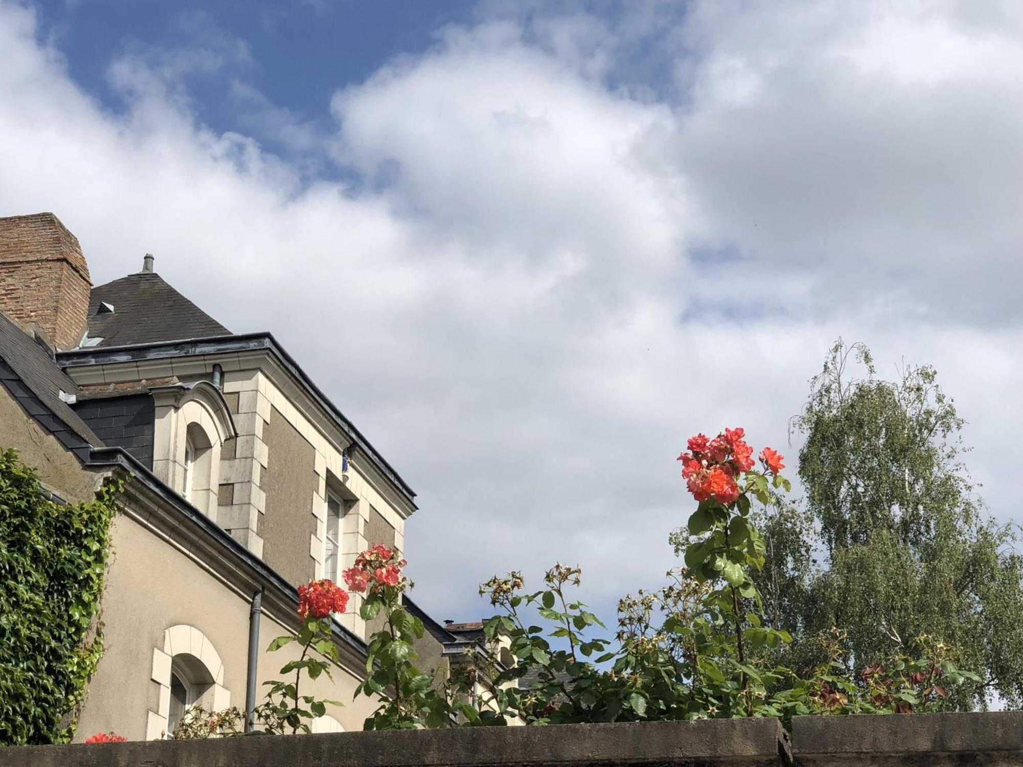 Maison Bout Du Monde Angers Hyper Centre Eksteriør bilde