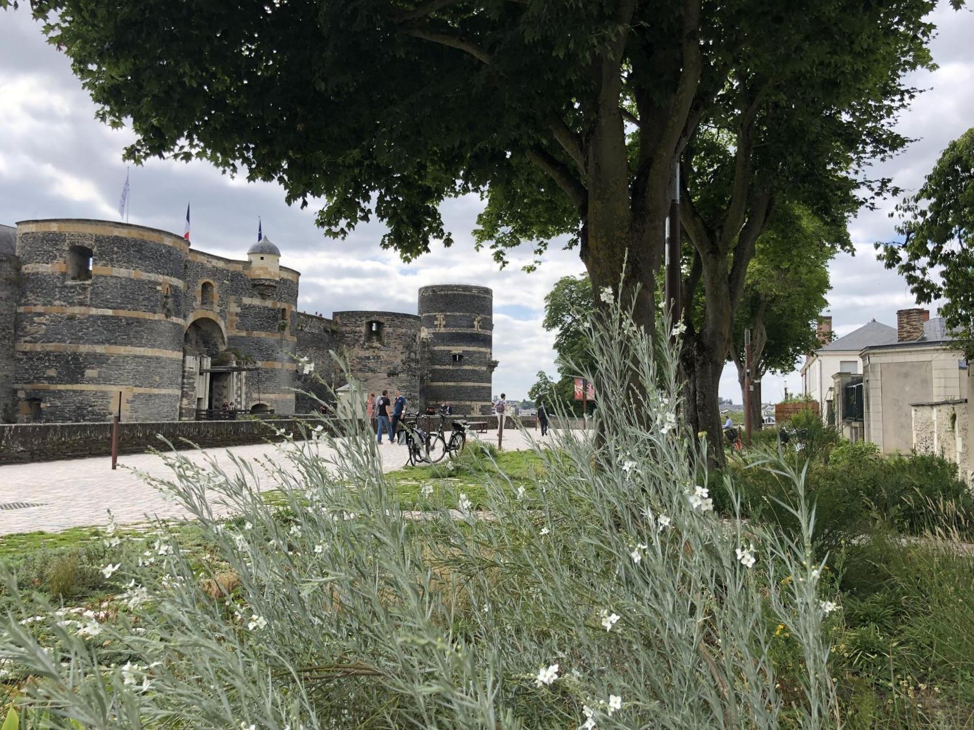 Maison Bout Du Monde Angers Hyper Centre Eksteriør bilde